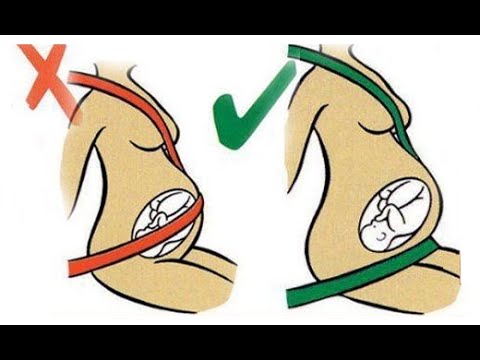 Cinturon De Seguridad Para Embarazadas